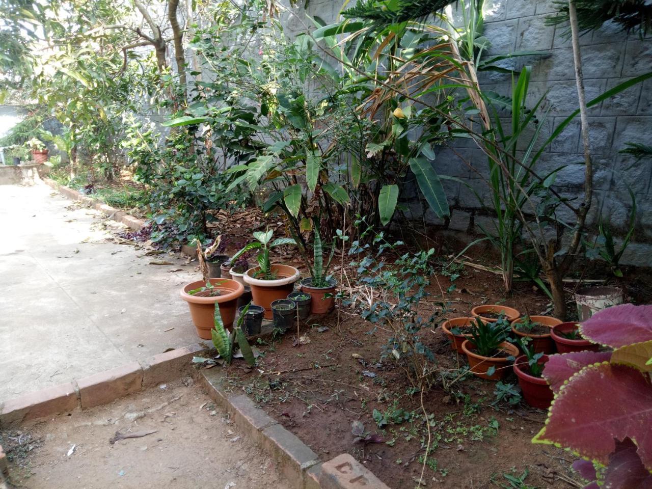 Coorg Villas Madikeri Eksteriør billede